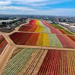 A Beachfront Fairytale In Carlsbad