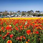 Luxury Ocean Views & Steps To The Sand - Tower 36 Upper Condo Unit