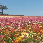 Carlsbad Garden Getaway