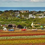 Grand Pacific Palisades Resort