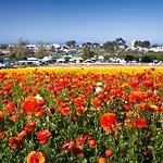 2003 Costa Del Mar Road - Unit 676