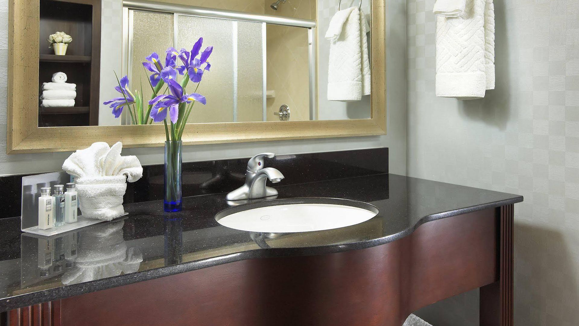 Hampton North San Diego County Hotel Carlsbad