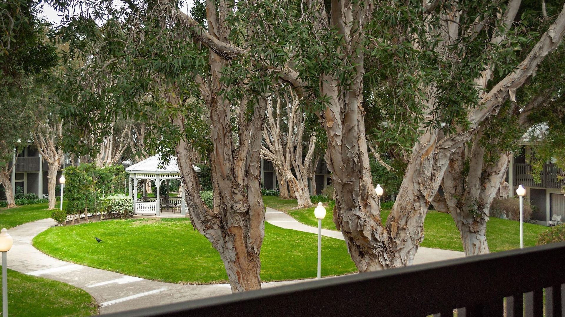 Resort By The Sea Carlsbad
