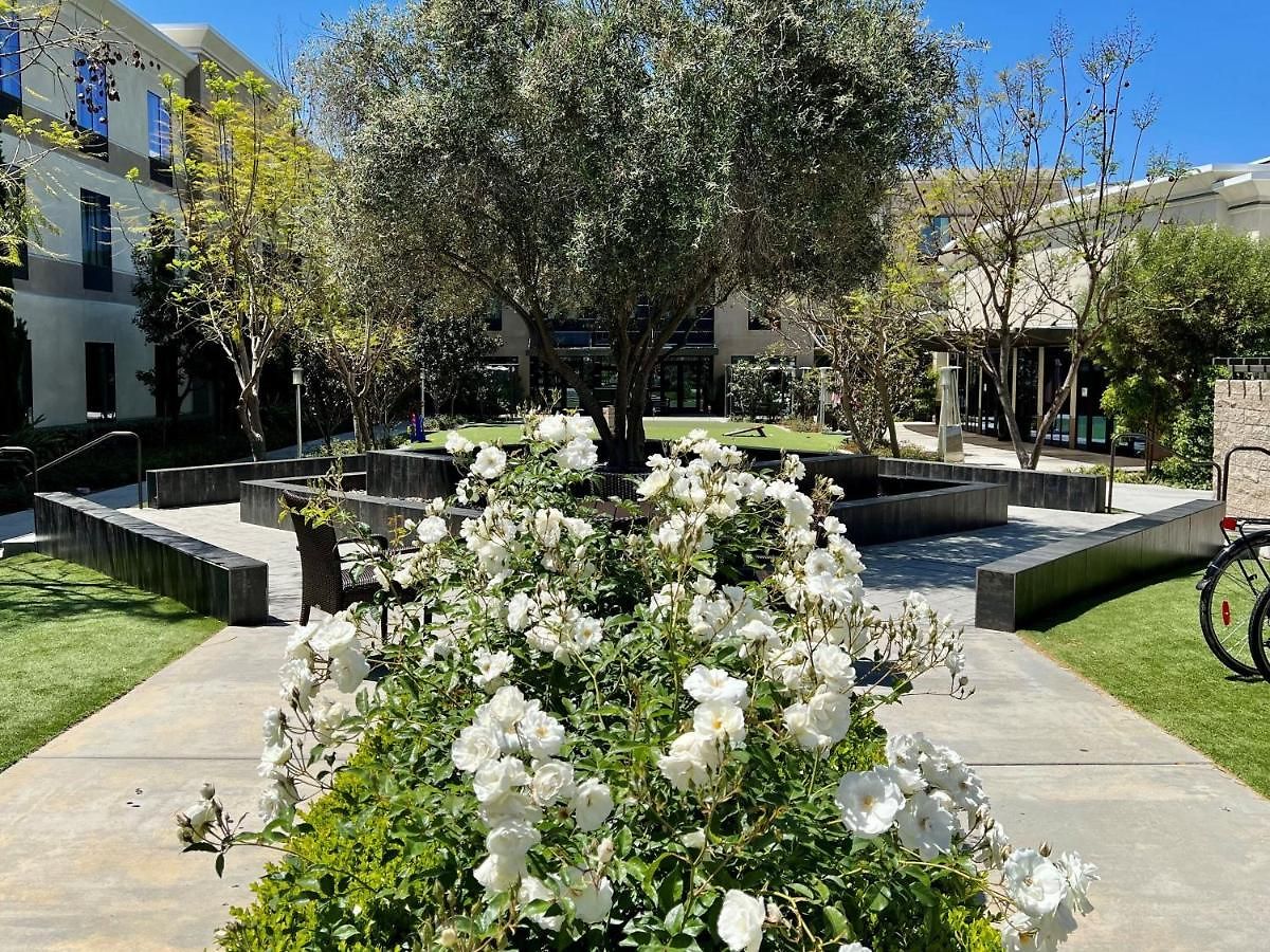 Staybridge Carlsbad/san Diego By Ihg