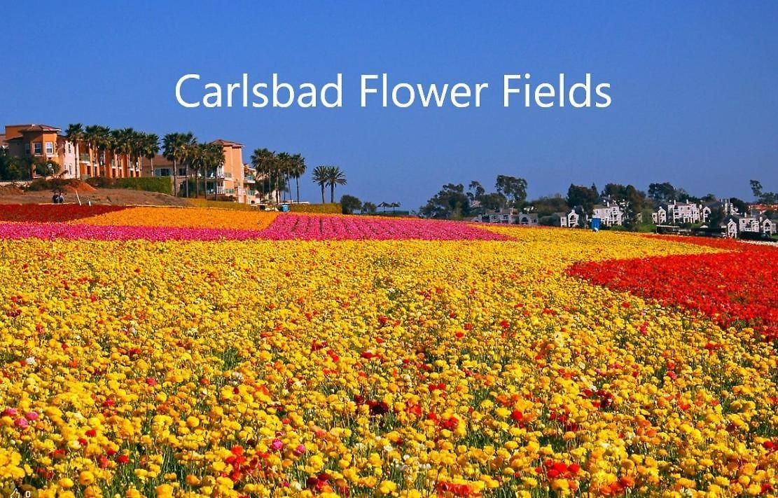 Luxury Beachfront Family Retreat | Stunning Ocean View, Private Hot Tub, Home Cinema * Carlsbad