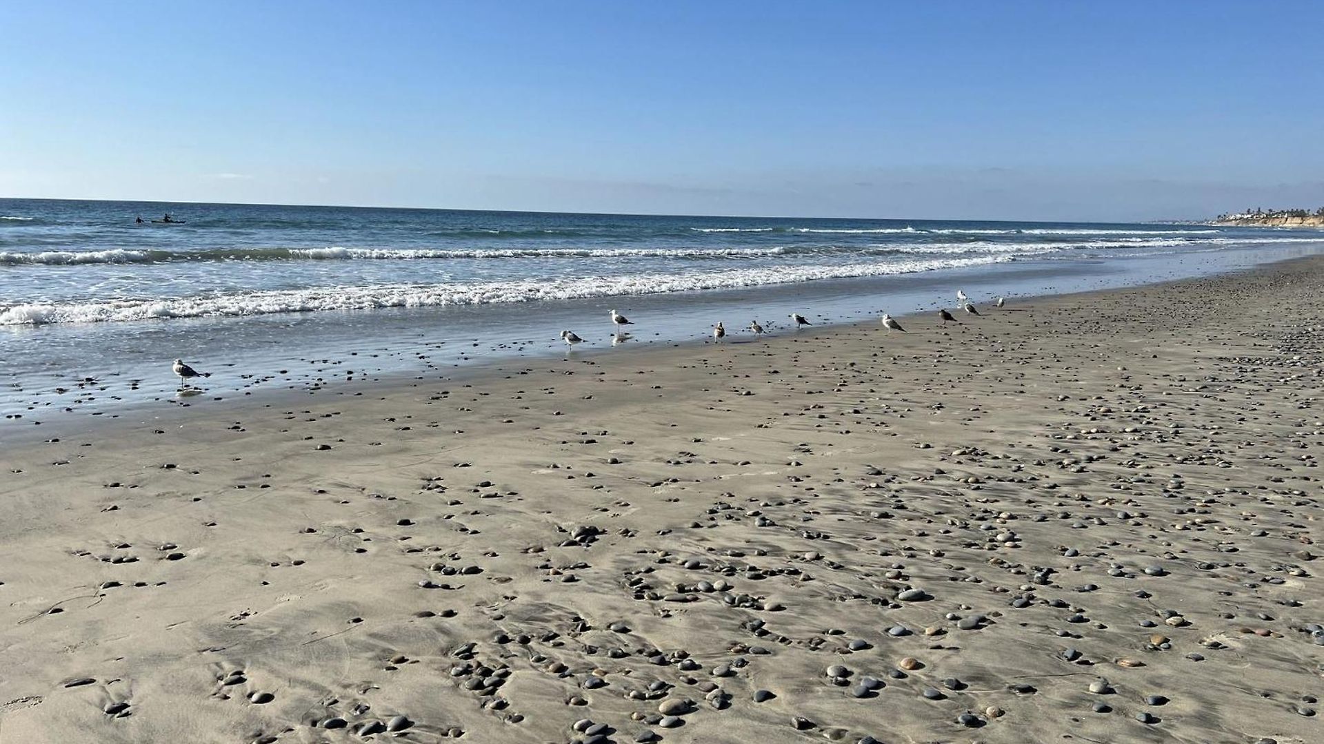 Resort Carlsbad/san Diego By Ihg Carlsbad