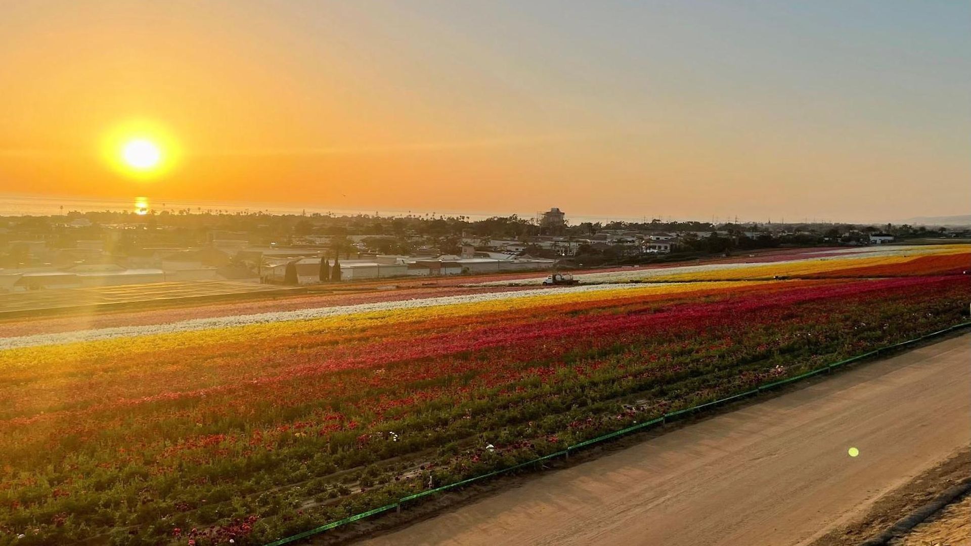 Resort Carlsbad/san Diego By Ihg