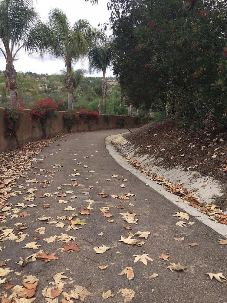 Spacious Luxury In Gated Community With Pool & Scenic Views Carlsbad