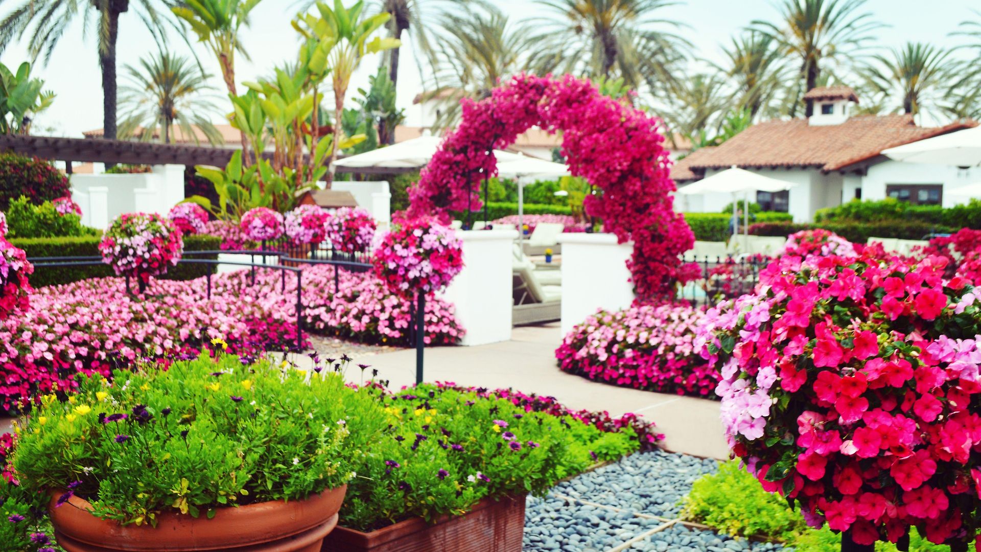 Omni La Costa & 4*
