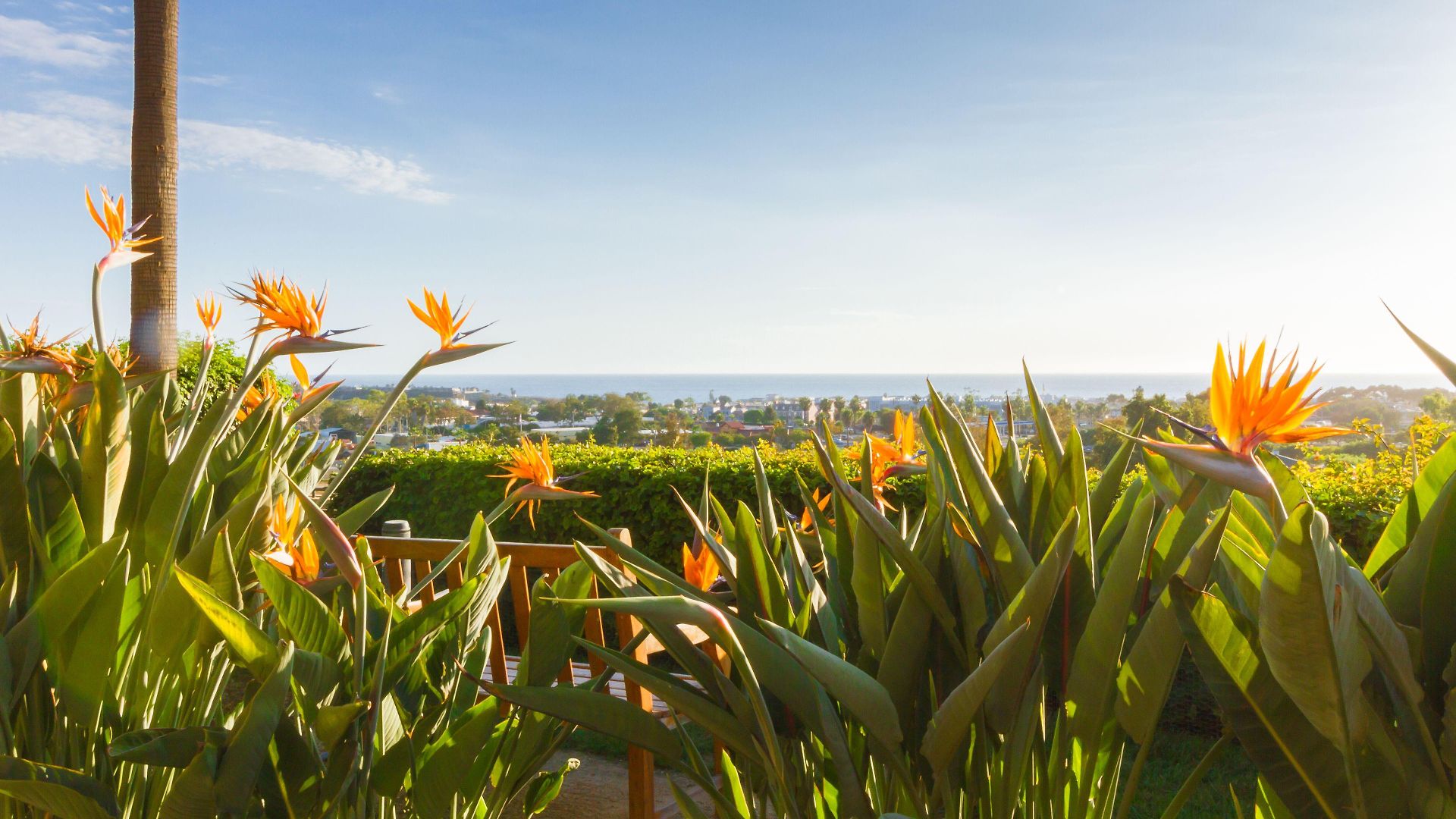 Grand Pacific Palisades Carlsbad