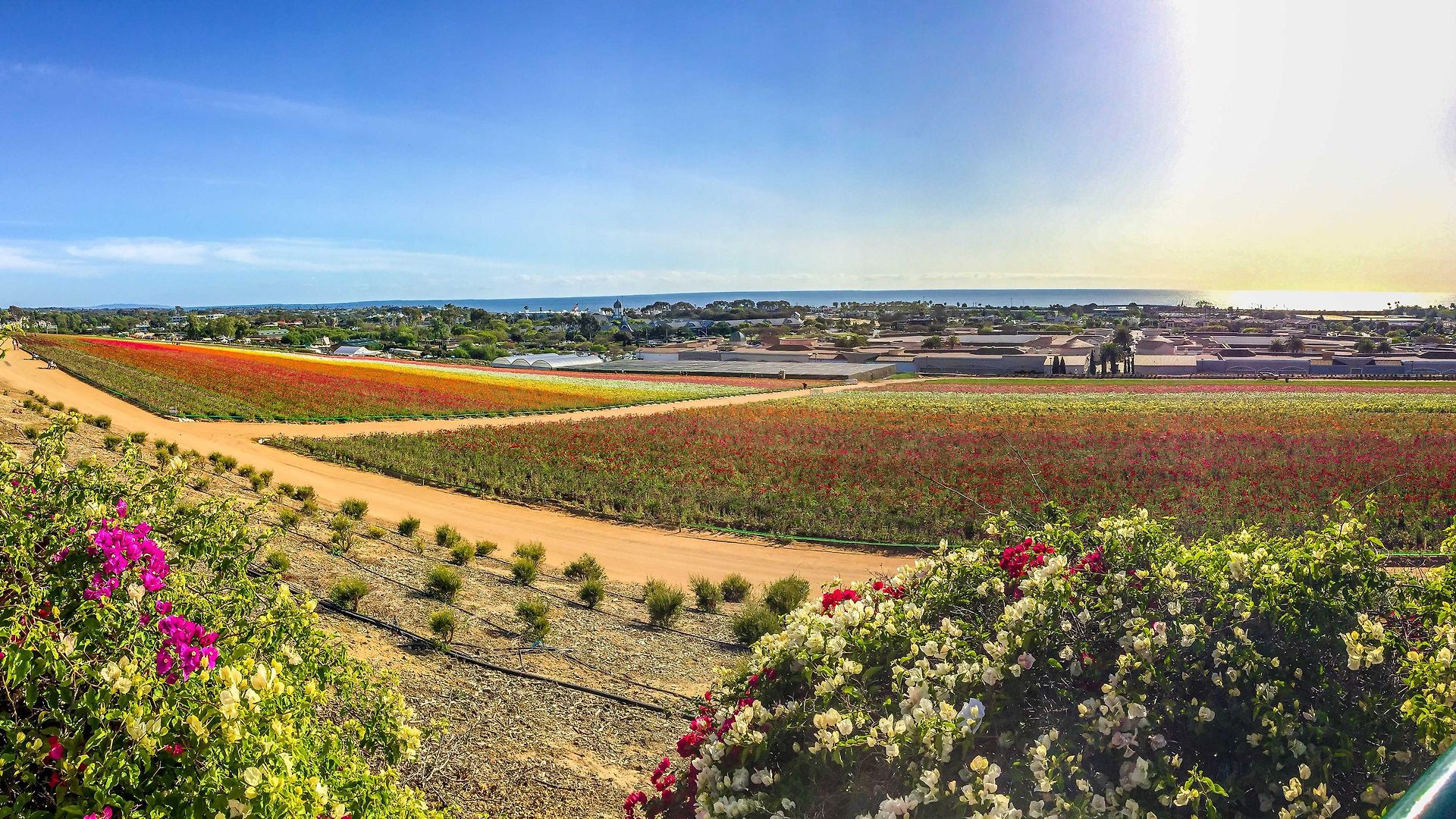 Grand Pacific Palisades Aparthotel 3*