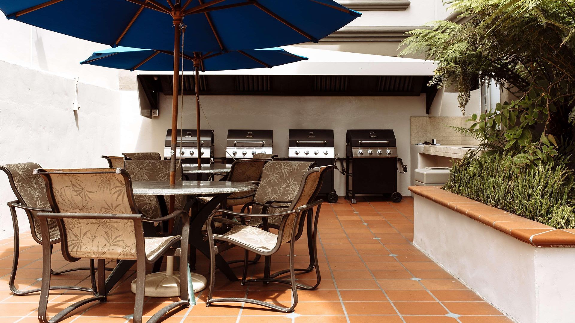 Tamarack Carlsbad
