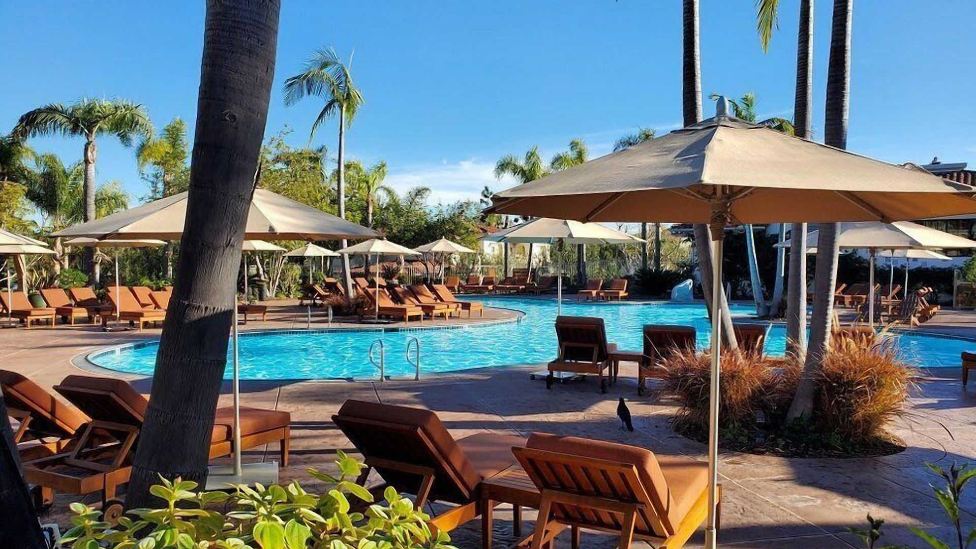 Resort Four Seasons Club Aviara