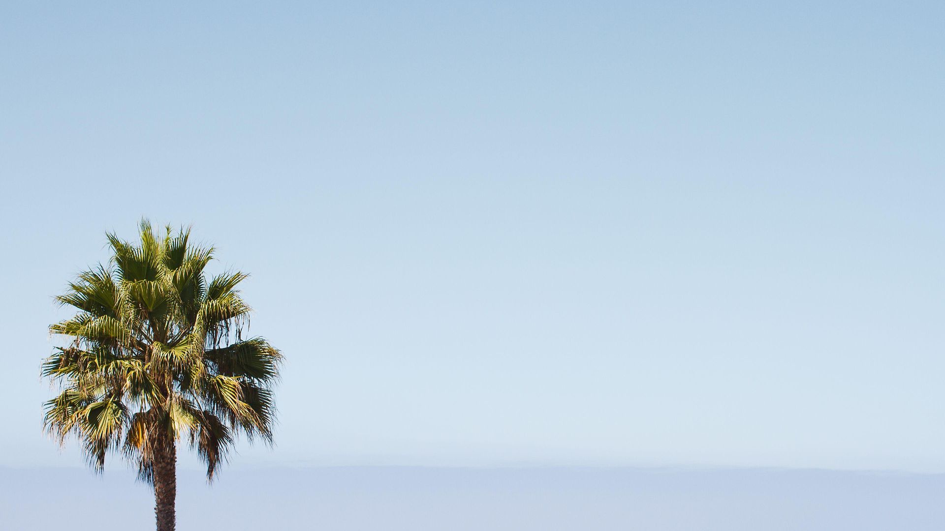 Cape Rey Beach, A Hilton & Resort 4*
