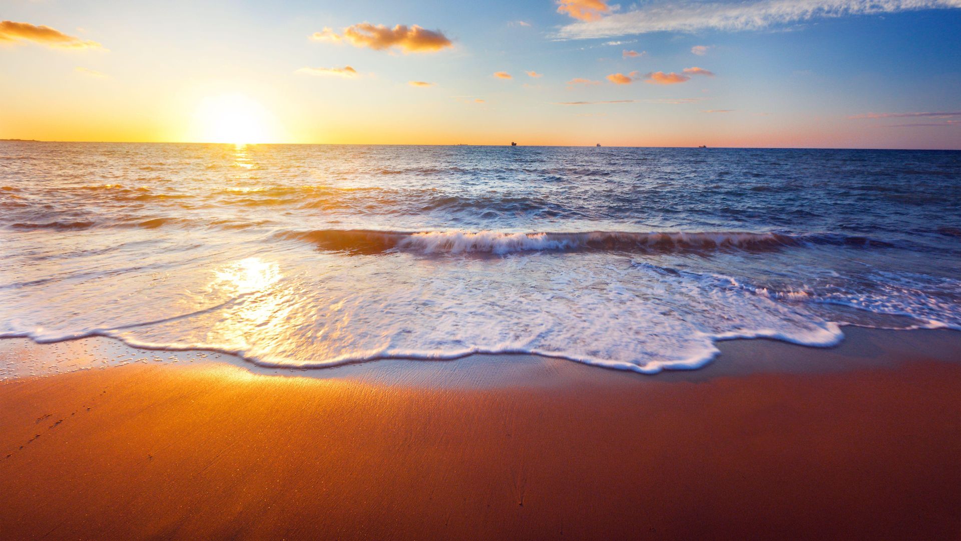 Staybridge Carlsbad/san Diego By Ihg Carlsbad