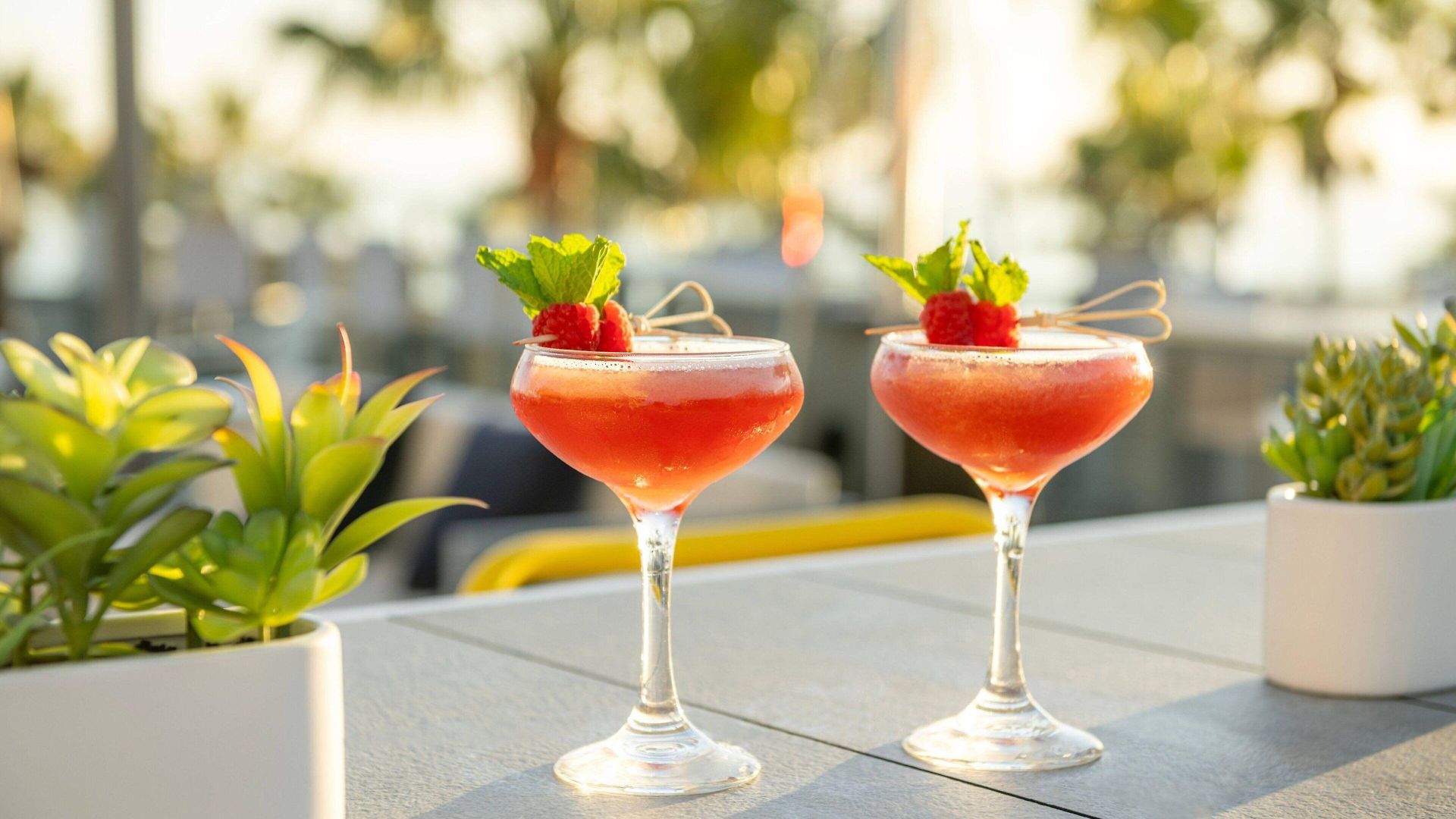 Springhill By Marriott San Diego
