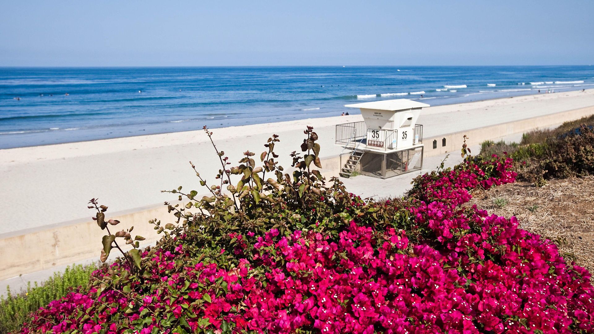 The Cassara Carlsbad, Tapestry Collection By Hilton