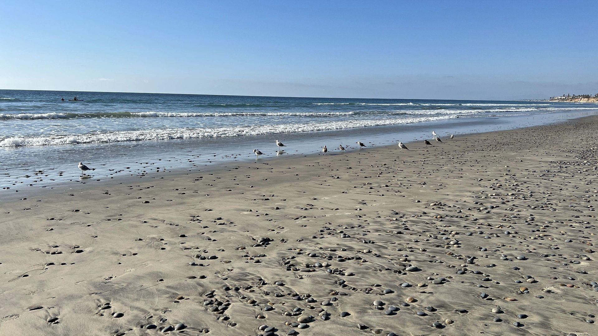 Resort Carlsbad/san Diego By Ihg Carlsbad