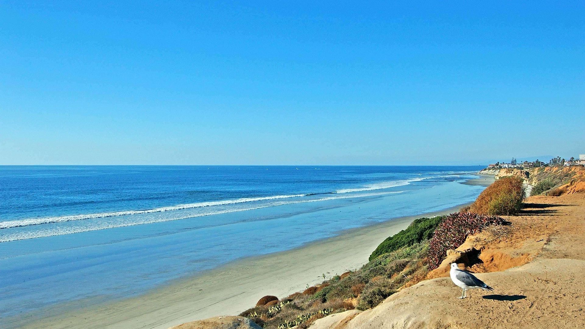 Cape Rey Beach, A Hilton & Resort 4*