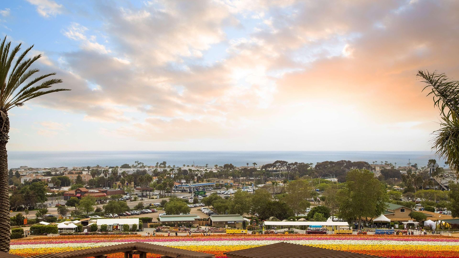 Grand Pacific Palisades 3* Carlsbad