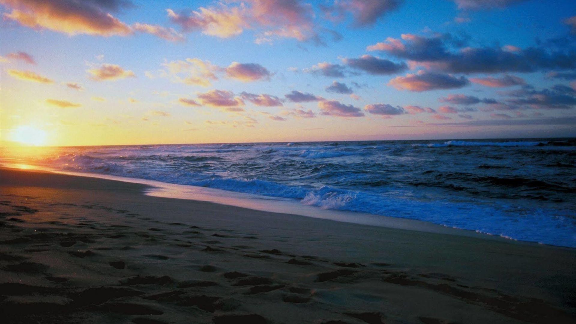 Seapointe Carlsbad