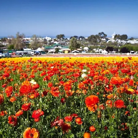 Walk To Beach, Ac, Firepit, Grill Carlsbad
