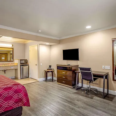 6 Carlsbad, Ca- North Carlsbad