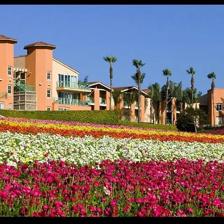 One Week Vacation California *