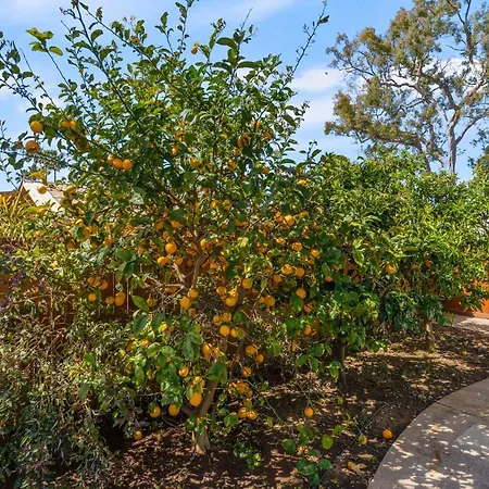Holiday home Luxury House. Pool/hot Tub! Walk To Beach! Carlsbad