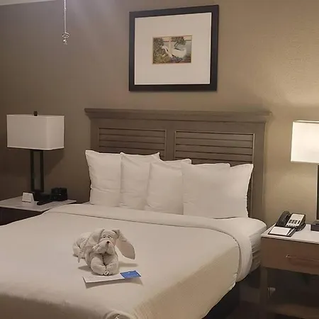 Steps From The Beach 2 Bedroom Apt With Ocean View Apartment