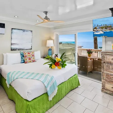 Ocean Palms
