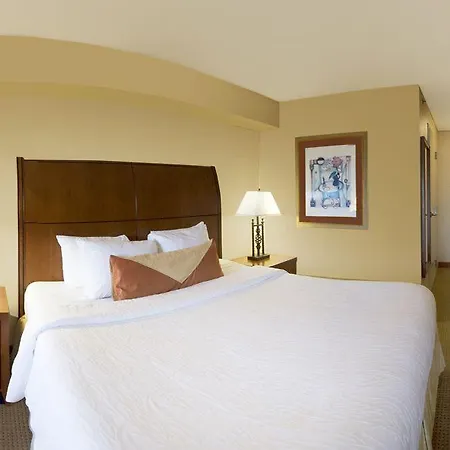 Hilton Garden