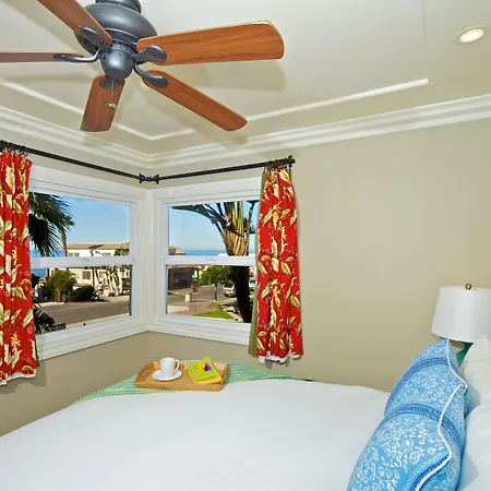 Ocean Palms