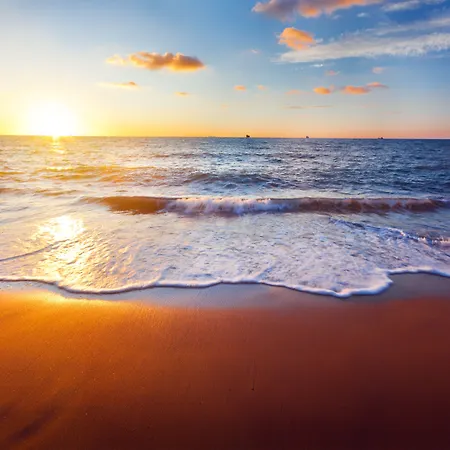 Staybridge Carlsbad/san Diego By Ihg Carlsbad
