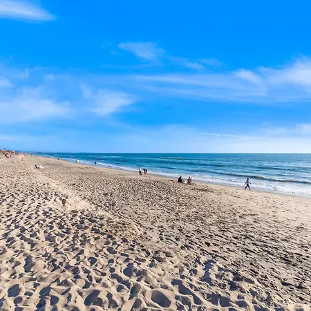 3009 Ocean St E Beautiful Beachfront W/ Ocean Views, Private Patio, Grill, & Free Wifi Apartment Carlsbad