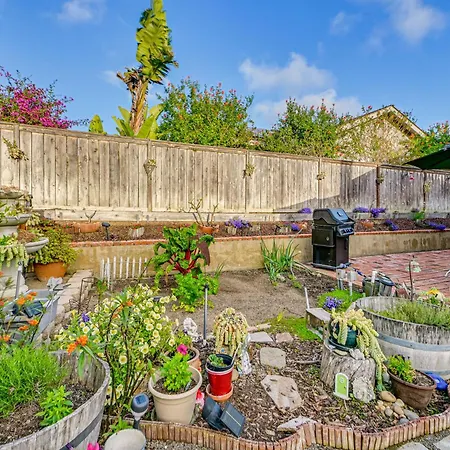 1 Mi To Beach! 'carlsbad Retreat' W/ Serene Garden Holiday home Carlsbad