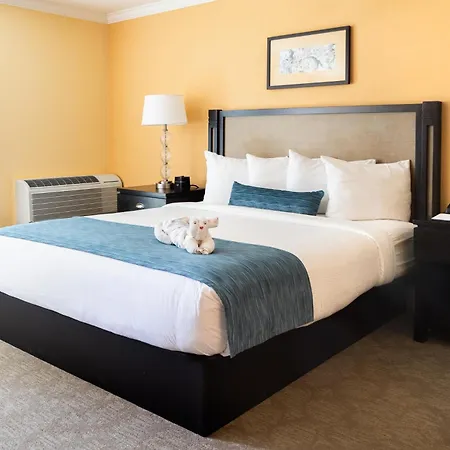 Carlsbad Inn Beach Resort Resort Carlsbad