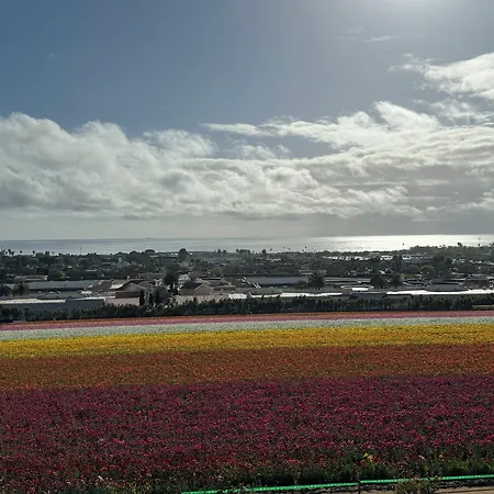 Express & By Ihg Hotel Carlsbad