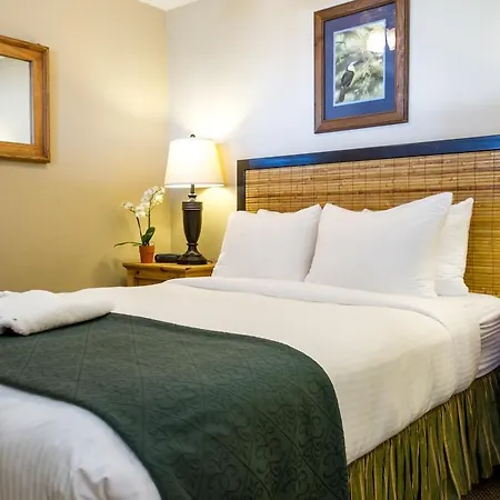 Sea Breeze Vacation *