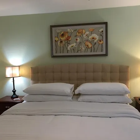 The Palms Apartment