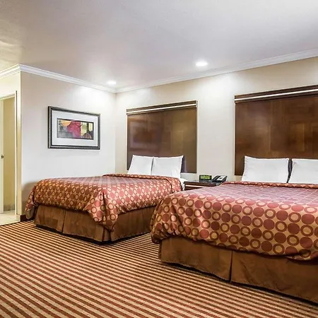 6 Carlsbad, Ca- North