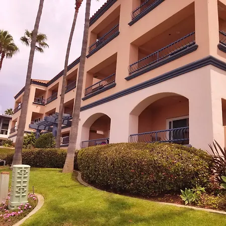 Tamarack 3*