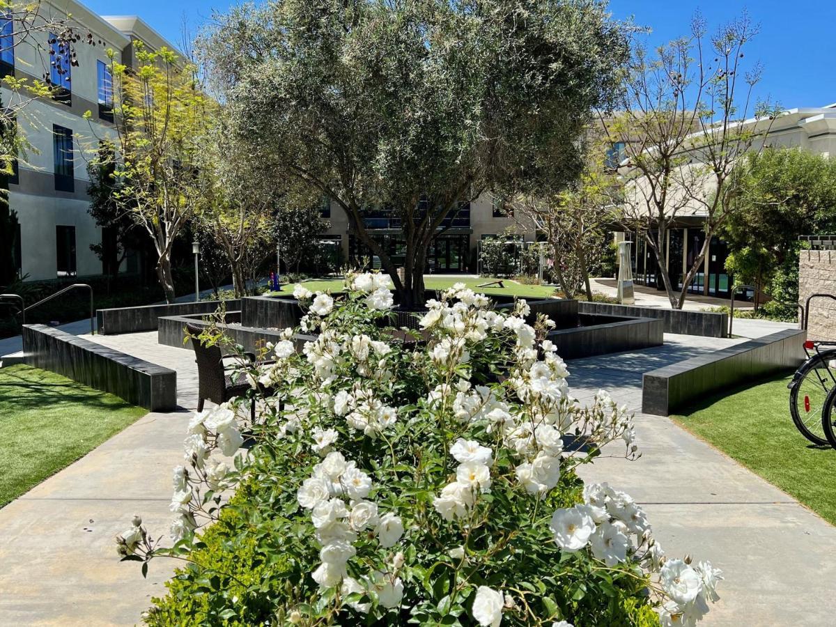 Resort Carlsbad/san Diego By Ihg