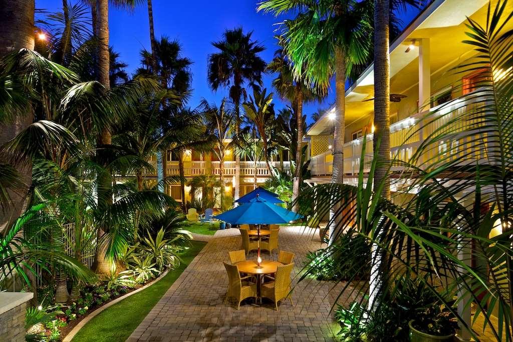Ocean Palms