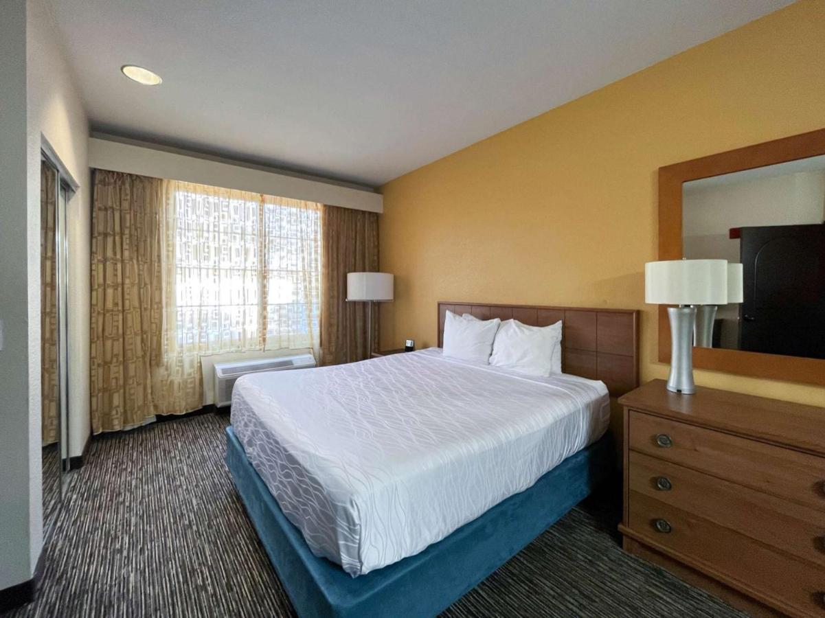 6 Carlsbad, Ca Carlsbad