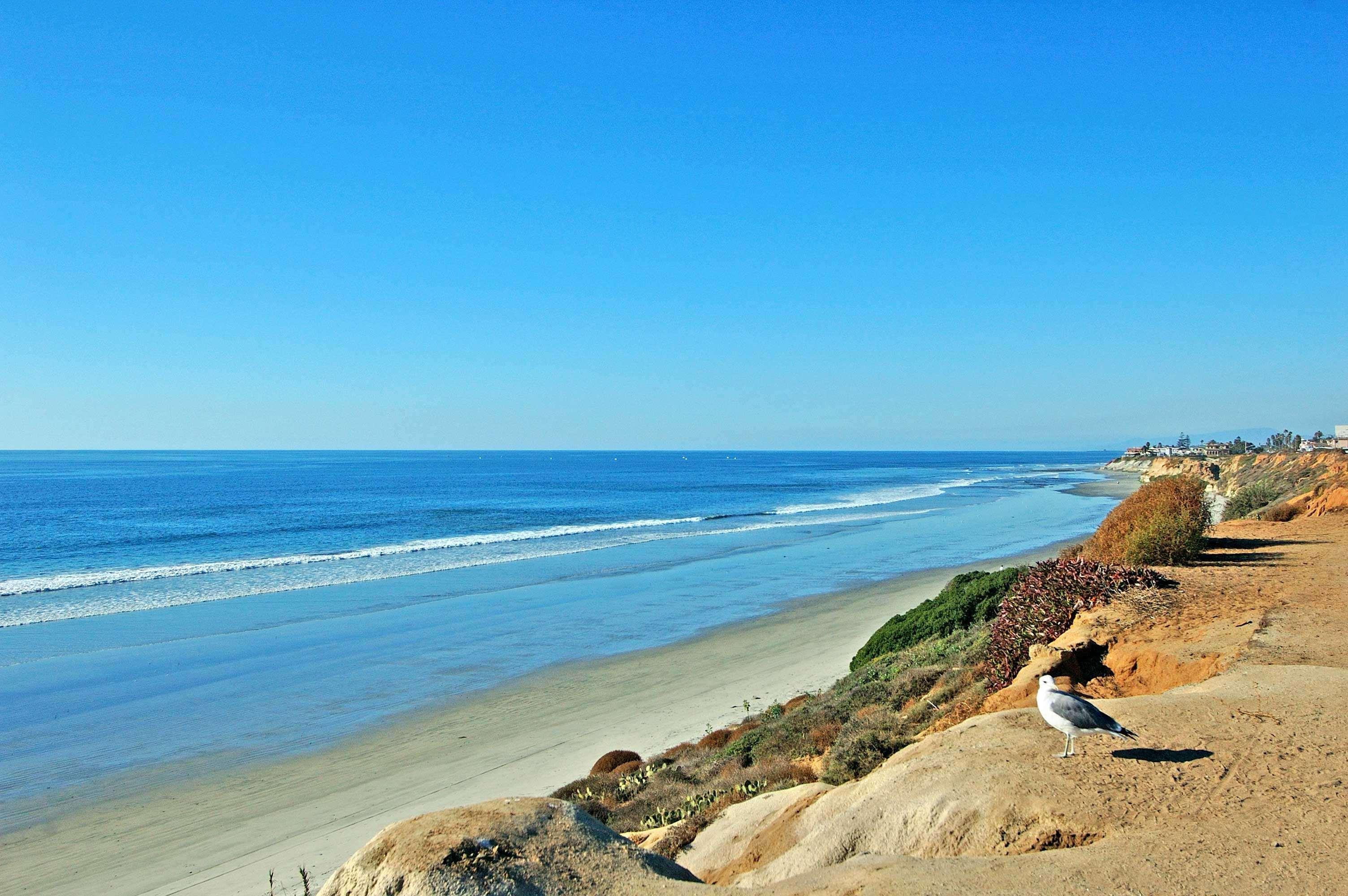 Cape Rey Beach, A Hilton &