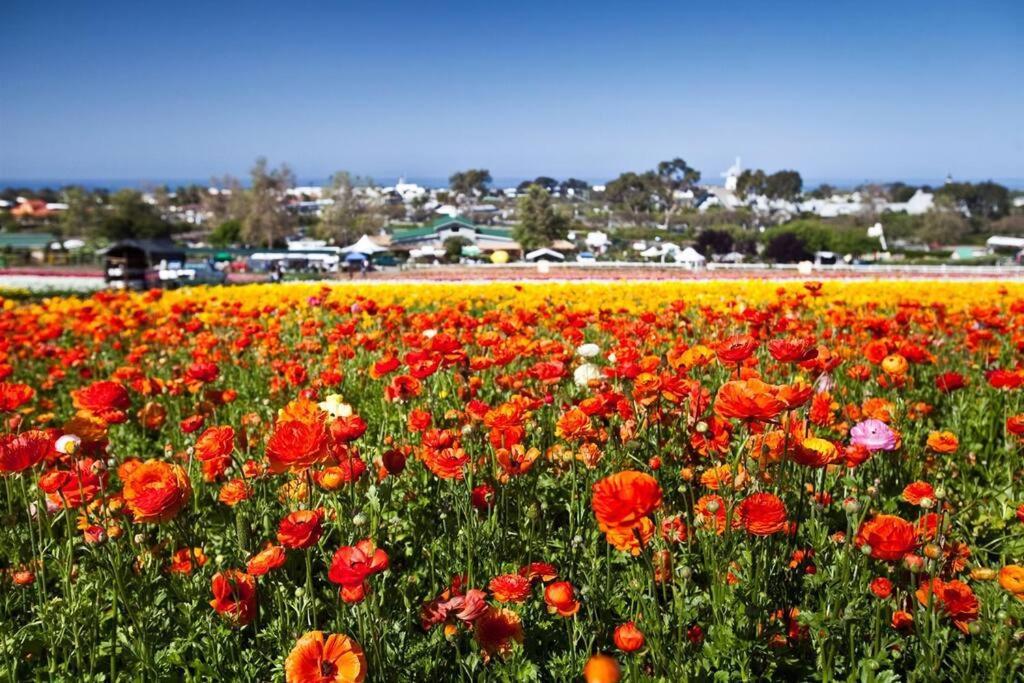 Walk To Beach, Ac, Firepit, Grill Carlsbad
