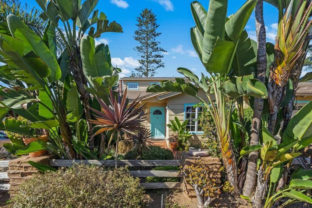 Oceanview, Walk To Beach, Fire Pit Holiday home Carlsbad