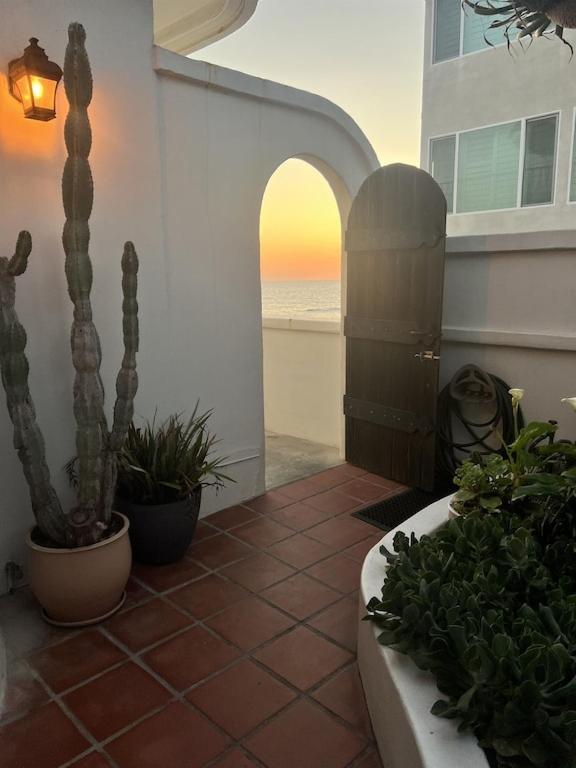 Oceanfront 2br Condo, Private & Patio, Rare Find