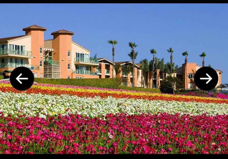 One Week Vacation California *